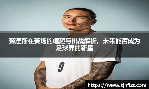 努涅斯在赛场的崛起与挑战解析，未来能否成为足球界的新星